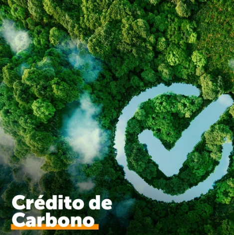 ccv - certificado de crédito verde